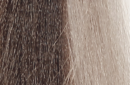 BACO COLOR GLAZE - 10.18 (10Ab) PLATINUM BLONDE ASH BRUNETTE