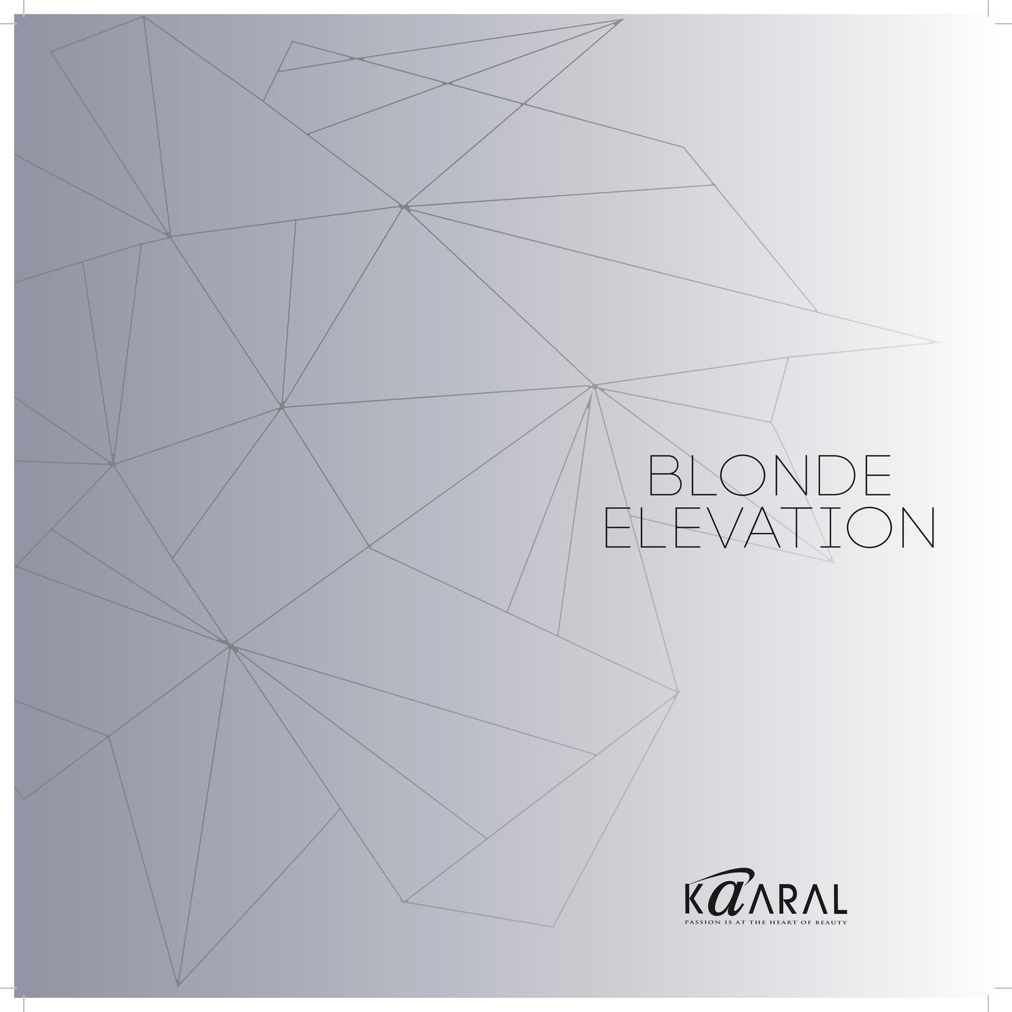 BLONDE ELEVATION COLLECTION BROCHURE
