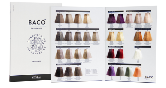 BACO COLOR GLAZE SWATCH BOOK