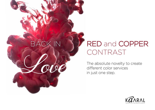 BACO RED & COPPER CONTRAST COLOR BROCHURE