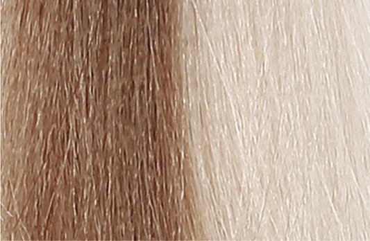 BACO COLOR GLAZE - 10.0 (10N) PLATINUM BLONDE
