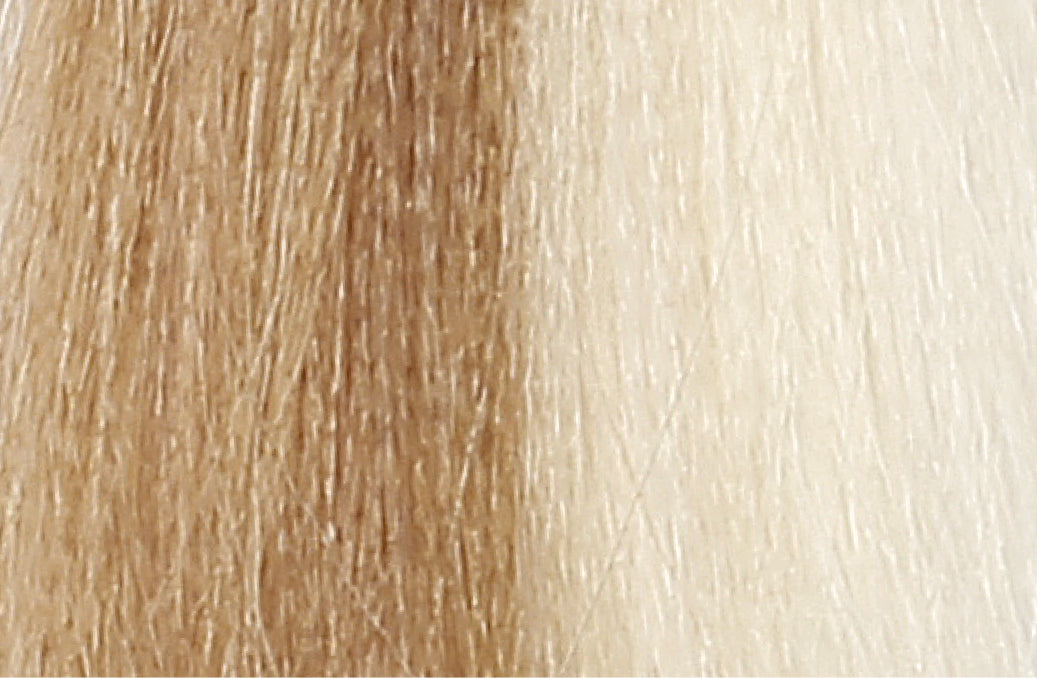 BACO COLOR GLAZE - 10.3 (10G) PLATINUM BLONDE GOLD