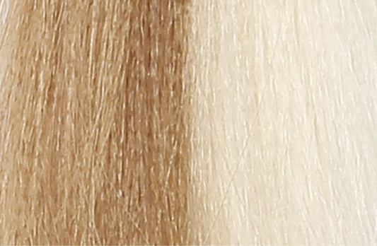 BACO COLOR GLAZE - 10.3 (10G) PLATINUM BLONDE GOLD