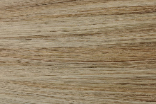 TAPE IN EXTENSIONS - HIGHLIGHTED - CHAMPAGNE DREAM