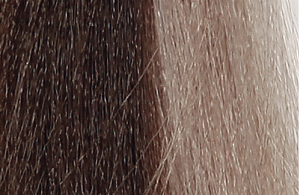 BACO COLOR GLAZE - 6.0 (6N) DARK BLONDE