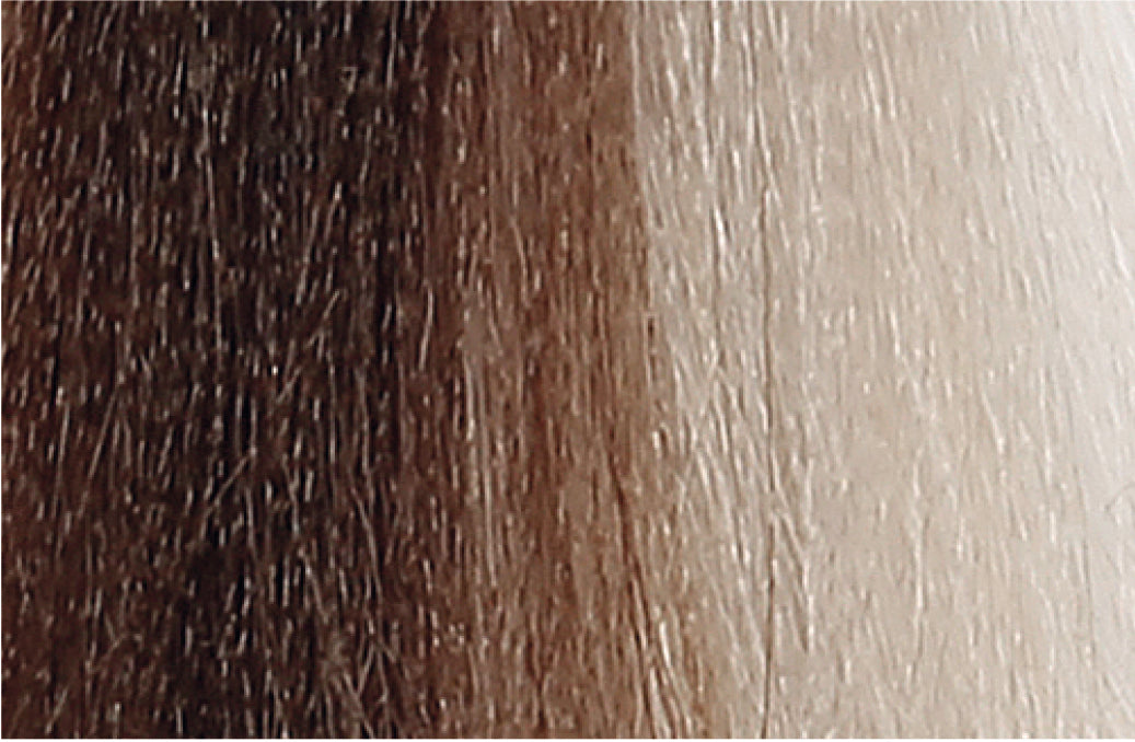 BACO COLOR GLAZE - 8.0 (8N) LIGHT BLONDE