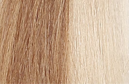 BACO COLOR GLAZE - 8.3 (8G) LIGHT BLONDE GOLD