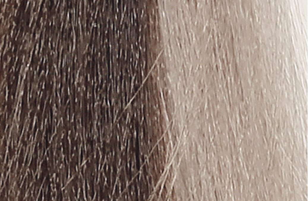 BACO COLOR GLAZE - 10.18 (10Ab) PLATINUM BLONDE ASH BRUNETTE