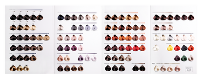 BACO COLOR PERMANENT SWATCH BOOK