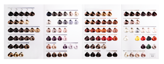 BACO COLOR PERMANENT SWATCH BOOK