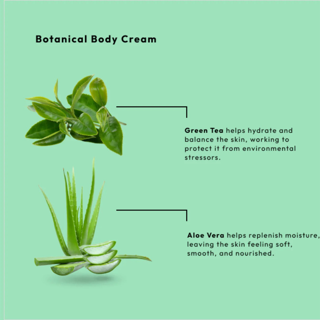 RETAIL BCL SPA™ GREEN TEA REVIVE BOTANICAL HAND & BODY CREAM