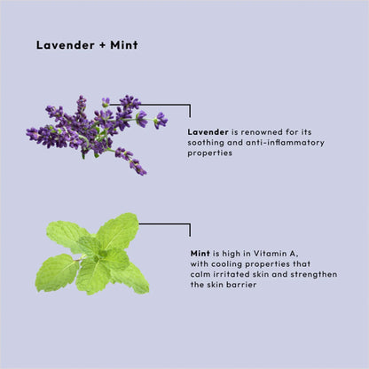 LAVENDER + MINT MASSAGE CREAM
