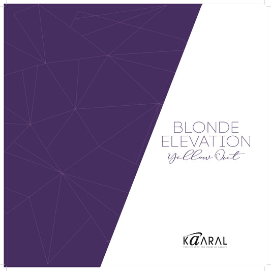 BLONDE ELEVATION YELLOW OUT BROCHURE