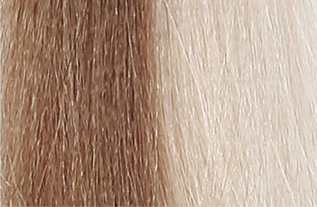 BACO COLOR GLAZE - 10.0 (10N) PLATINUM BLONDE