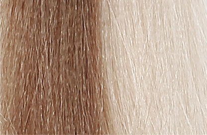 BACO COLOR GLAZE - 10.0 (10N) PLATINUM BLONDE