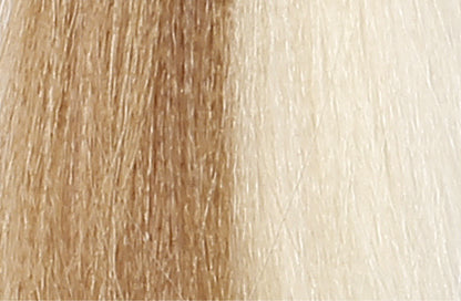 BACO COLOR GLAZE - 10.3 (10G) PLATINUM BLONDE GOLD