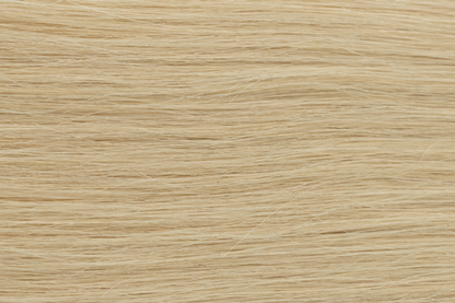 TAPE IN EXTENSIONS - NATURAL - WARM BLONDE