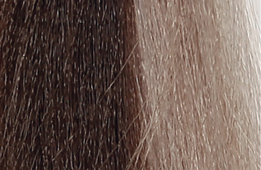 BACO COLOR GLAZE - 6.0 (6N) DARK BLONDE