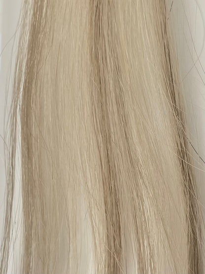 TAPE IN EXTENSIONS - HIGHLIGHTED - PLATINUM PEARL